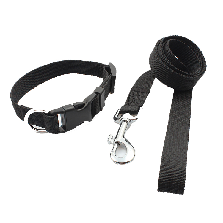 Printing webbing adjustable dog collar and leash with buckle Featured Image