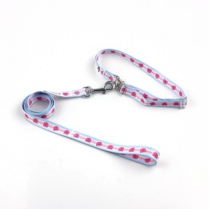 Factory custom design free printed high quality dog collar and leash