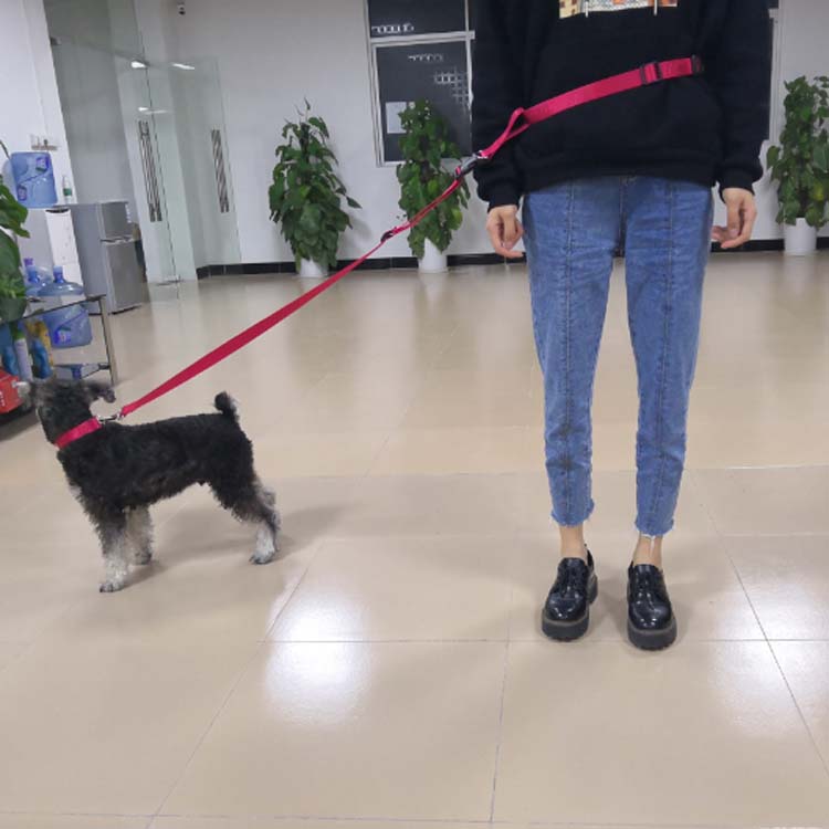 running dog leash (2)