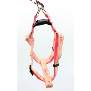 Personalized pattern fancy high quality cute dog harness pet with breakaway buckle