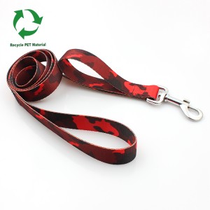 Recycled RPET material webbing two handles dog leash from China supplier