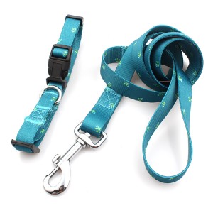 Factory  wholesale heavy duty large pet collar and leash for dogs