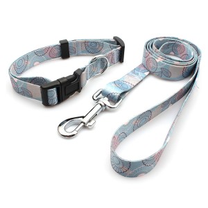 Promotional Pet Products Eco-Friendly Polyester Webbing Dog Collar and Leash