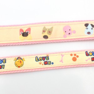 Manufacturer supply fancy cute dog webbing pet leashes stocked