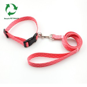 High quality recycled RPET printing dog collars and leash