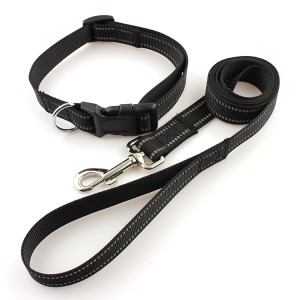 Factory professional fashion webbing polyester reflective nylon dog collar training leashes