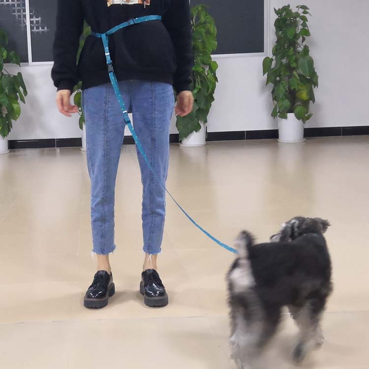 running dog leash (6)