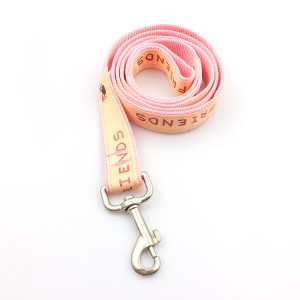 Manufacturer supply fancy cute dog webbing pet leashes stocked