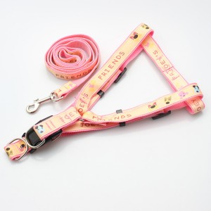 Fashion popular custom logo dog harness and leash set manufacturer