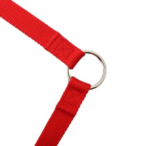Factory durable wholesale personalized double dog training leash