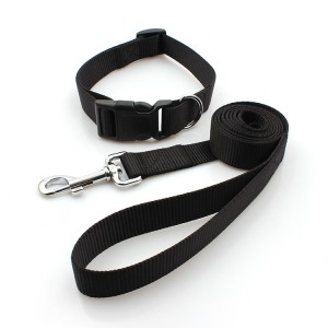 Wholesale printing personalized nylon webbing dog collars and leash