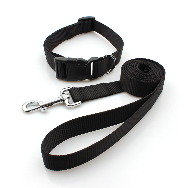 Wholesale printing personalized nylon webbing dog collars and leash Featured Image