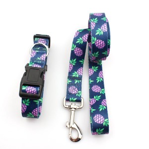 Custom’s own logo unique design polyester dog collar and leash set