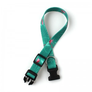 High Quality Custom PVC Waterproof Dog Collar with Quick-Release Buckle