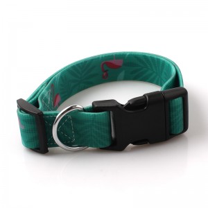 High Quality Custom PVC Waterproof Dog Collar with Quick-Release Buckle