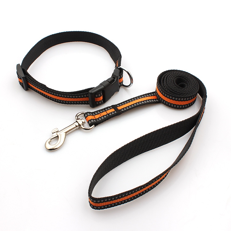 Factory professional fashion webbing polyester reflective nylon dog collar training leashes Featured Image