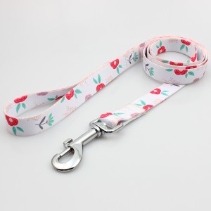 Wholesale private label printed free pet dog leash for training