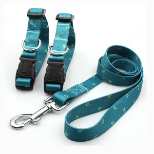 Professional supplier fashion buckle collar dog leash promotional