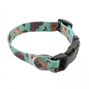 Wholesale Dog Collar With Adjustable And Breakaway Buckle