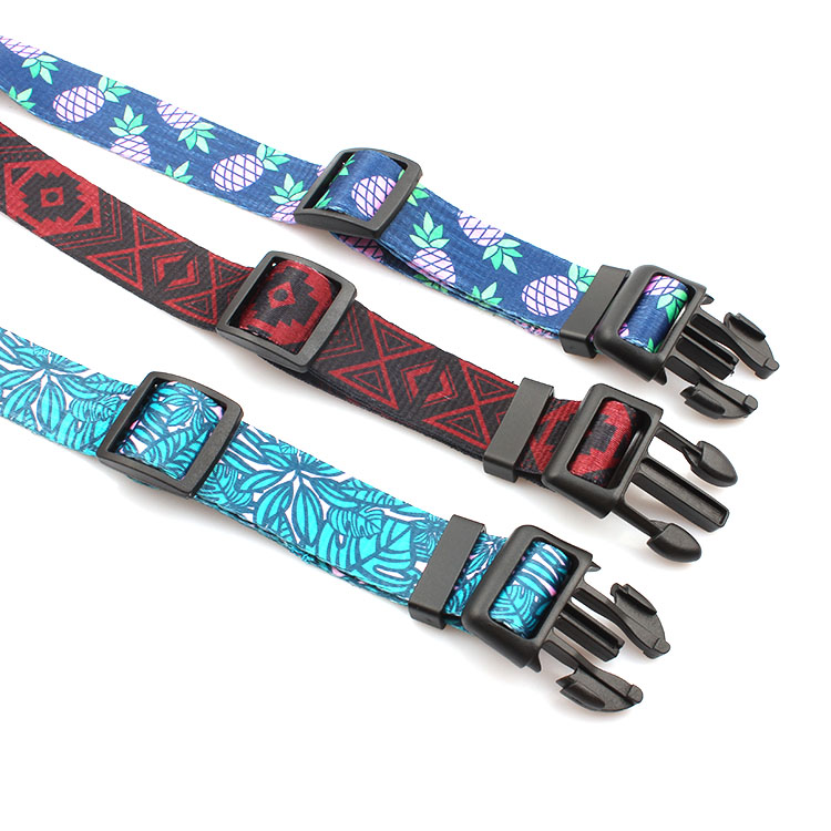OEM factory professional high quality durable pet dog collar Featured Image