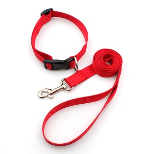 Professional manufacturer breakaway nylon dog collars printed pet leash