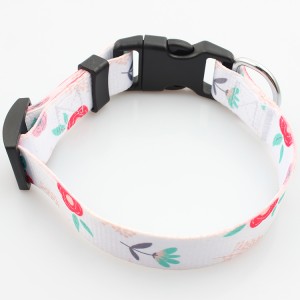 Custom fashion design dog collar with safety adjustable buckle