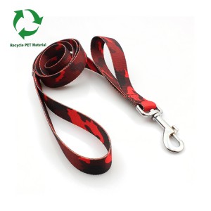 Recycled RPET material webbing two handles dog leash from China supplier